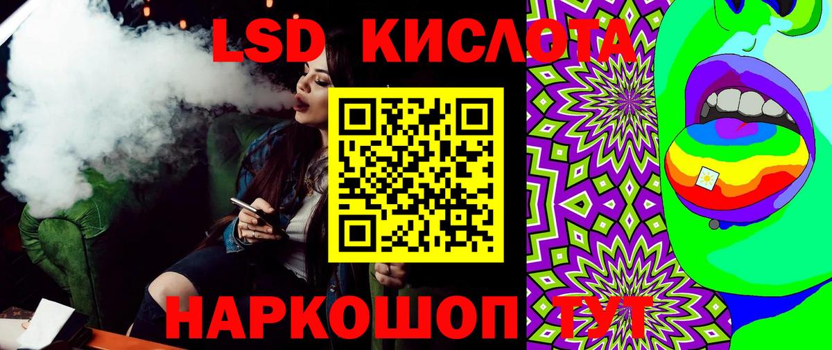 A PVP Новороссийск